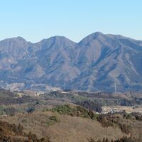 客室からの眺め