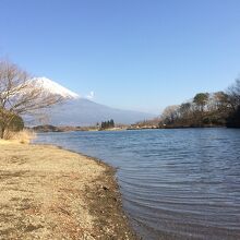 湖畔で芝生 逆さ富士も見える