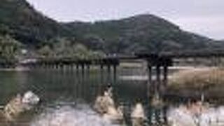 ゆっくりと散策できました