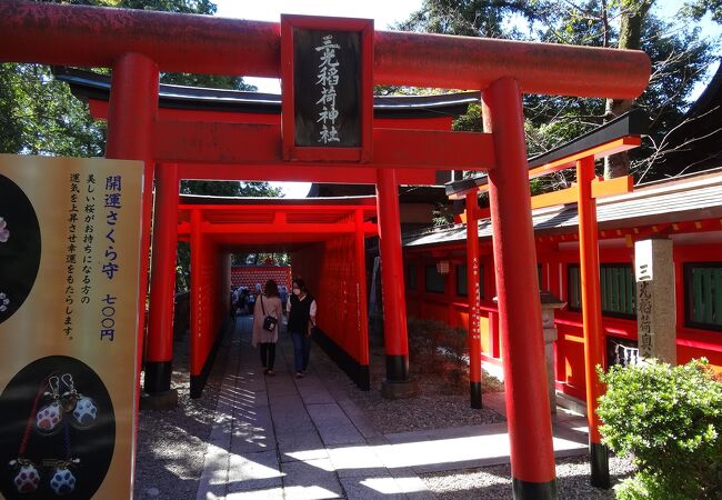犬山の寺 神社 クチコミ人気ランキングtop フォートラベル 愛知県