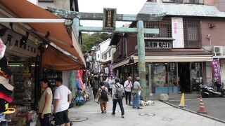 都内から日帰り観光で十分に楽しめました