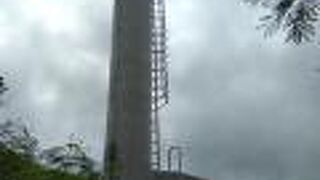 草木の中にポツンと