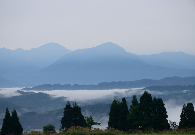 山本山