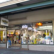 アウトレット 送料無料 ポケモンセンター メダル 御殿場プレミアム アウトレット限定 b3ce69 の正規品は正規取扱店で Feb Ulb Ac Id