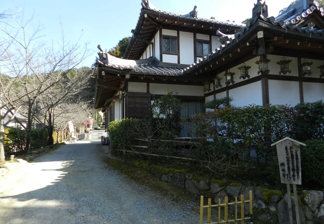 岡寺参道脇の真言宗豊山派寺院