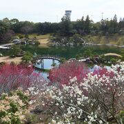 広島空港脇の現代的な庭園