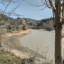 貯水量の低い時期は濁っています