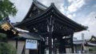 堂々としたたたずまいです