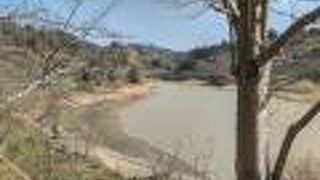 季節の花が咲く