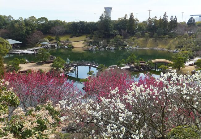 三景園 クチコミ アクセス 営業時間 三原 フォートラベル