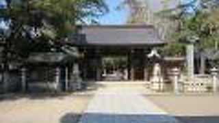 枝垂桜が花をつけていました