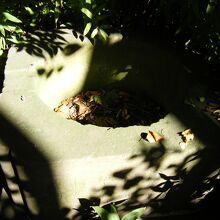 御神水吹上井戸石枠