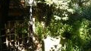 川崎で井戸水が飲めた時代があったとは