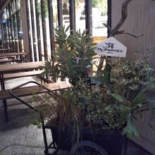 Mr.FARMER 三井アウトレットパーク木更津店