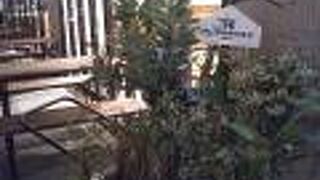 身体に良いものだけを