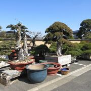 閑静な住宅街です