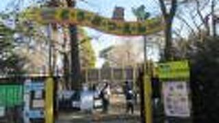 手作り感があふれていました