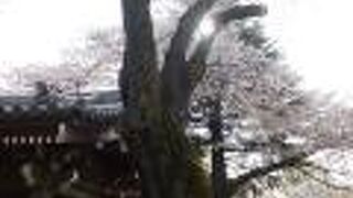 桜の時期に。12神将は8のつく日に