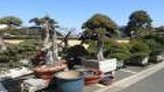 閑静な住宅街です