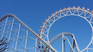 １日楽しめます