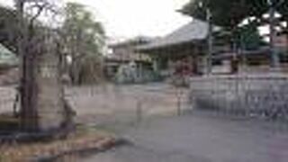 春近しと感じました