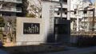 交通事故の犠牲者