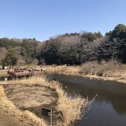 引地川の水源池がある