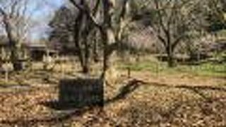 水と緑と花がテーマの公園