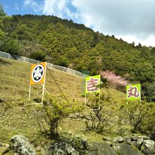天城旅の駅 吉丸