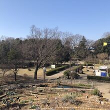 親水広場で