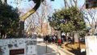 とても賑わいのある公園