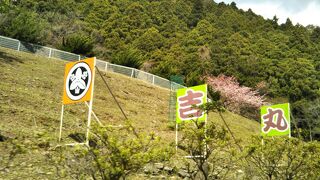 天城のお土産を