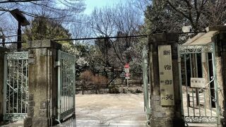 四谷から歩きました