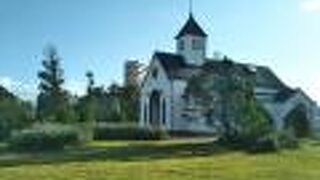 ハーブなどがところどころ