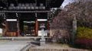 回廊式庭園の梅林