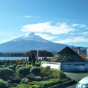富士山と河口湖と鵜の島