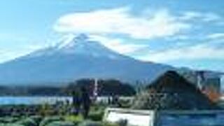 富士山と河口湖と鵜の島