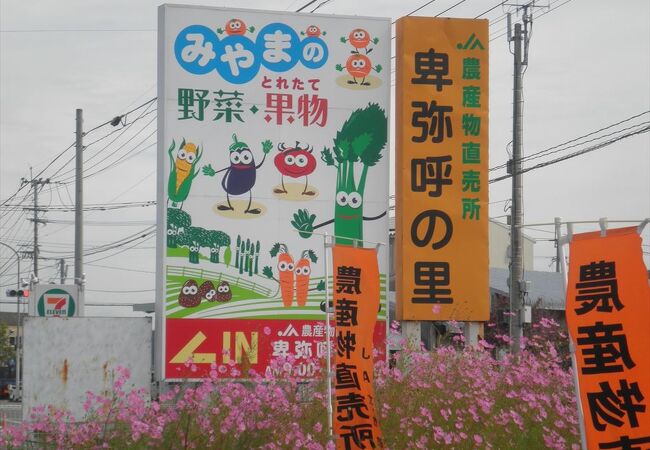 ローカル感が魅力です