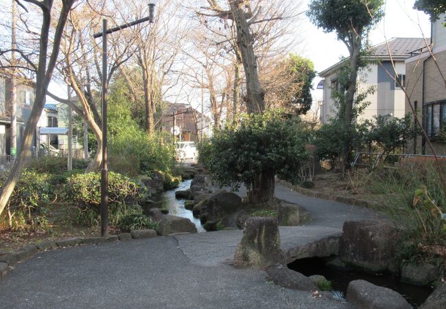 小川が流れる公園