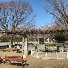 笹野台北公園の砂場