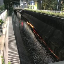 ライトアップされた川岸