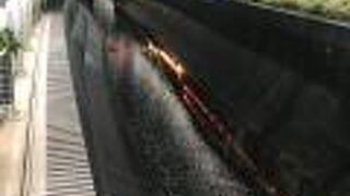 生まれ変わった川辺