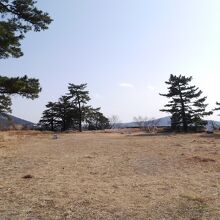 昔はここにお城があったようです。