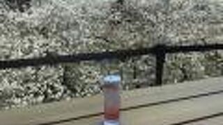 2019年にできたスターバックスコーヒー