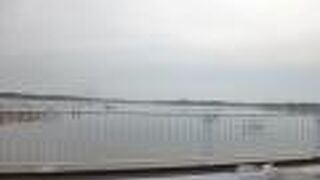 心安らぐ光景です