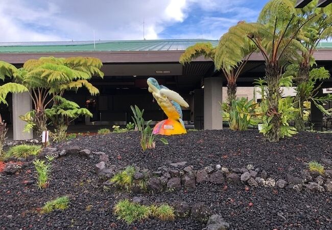 ヒロ国際空港 Ito クチコミ アクセス 営業時間 ハワイ島 フォートラベル ヒロ国際空港 Ito クチコミ アクセス 営業時間 ハワイ島 フォートラベル