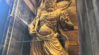 多数の見どころ