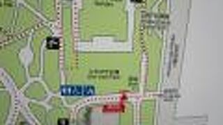 所々に楡の木が植えられている開放的な広場です。