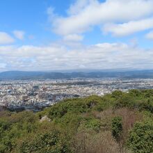 秋に訪れた時　大阪のあべのハルカスまで見えていました