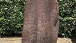 無料で見られました